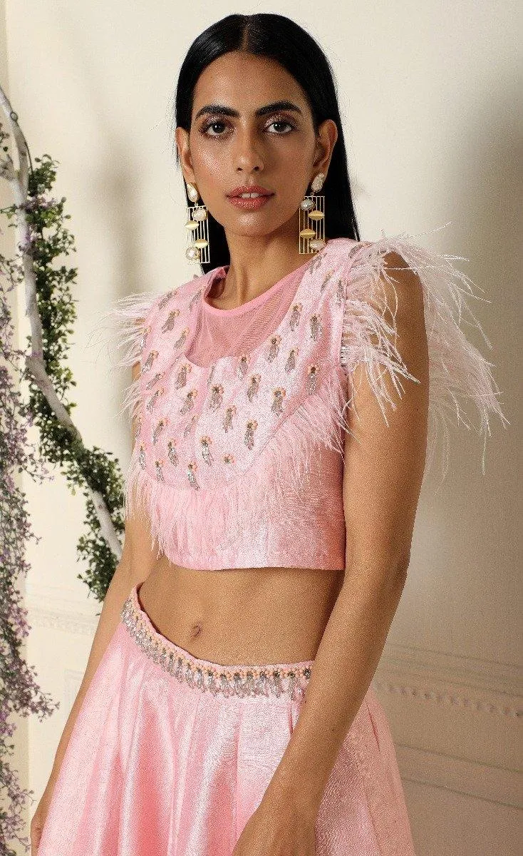 Baby Pink Short Top with Lehenga Set of 2