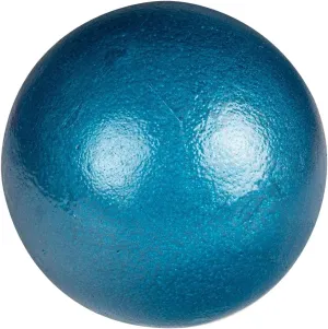 Champro Cast Iron Shot Put