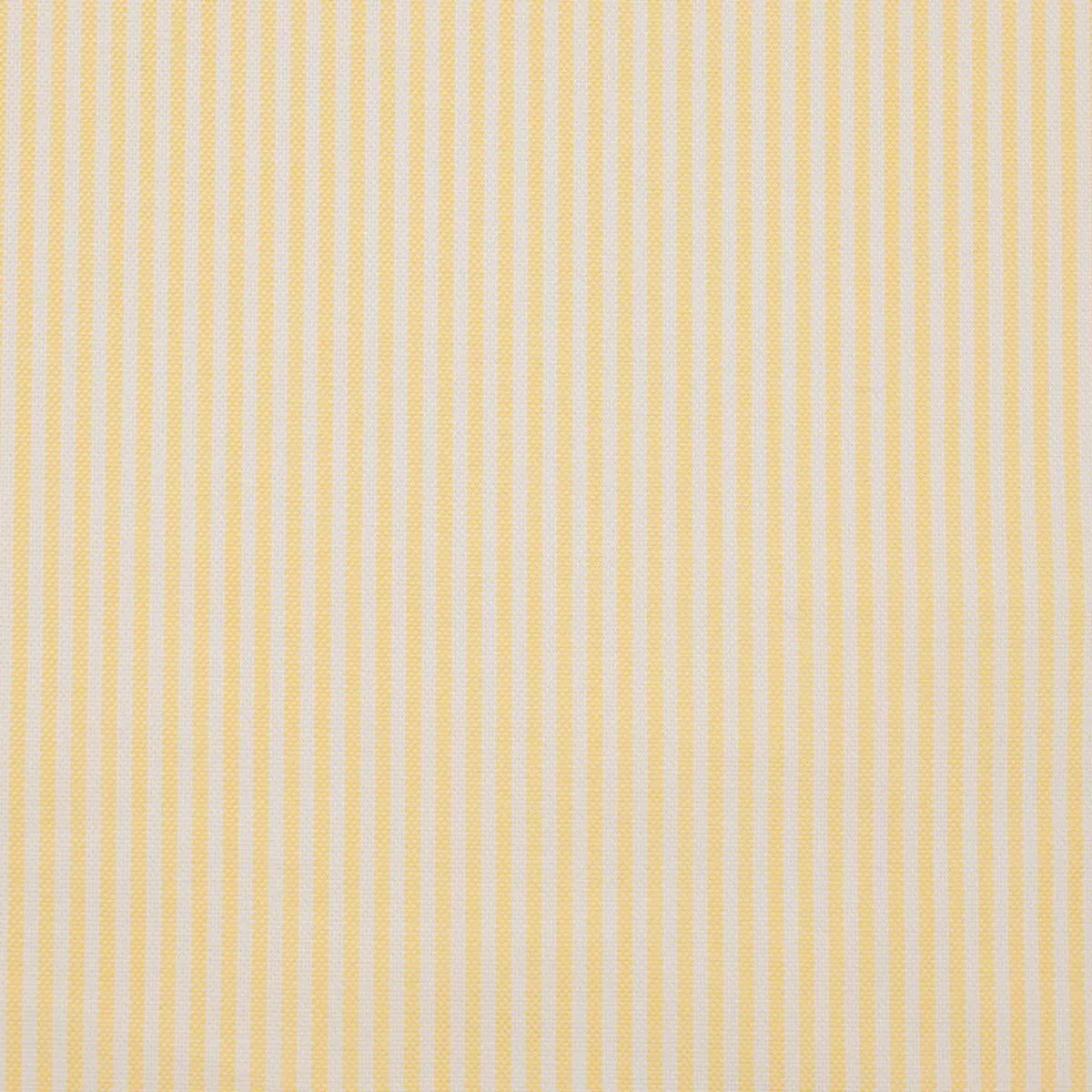 Yellow Shirting Fabric 6850